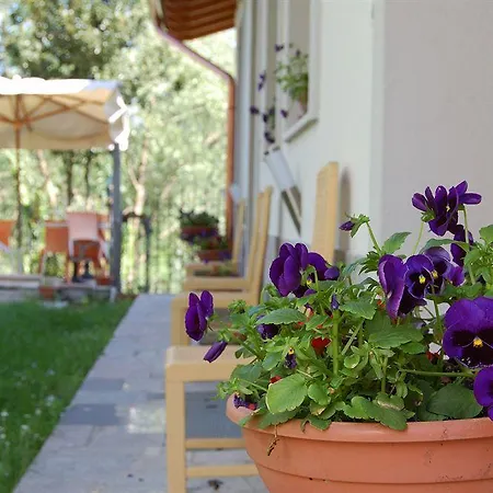 Flumen Bed & Breakfast Gorizia